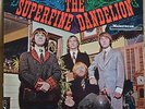 THE SUPERFINE DANDELION - ORGINAL MAINSTREAM  PSYCH POP LP