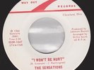 Northern soul THE SENSATIONS I won't be hurt Way out 92OW 1047 *Hear it* underat