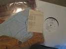 ALICE COOPER SCHOOLS OUT RECORD WHITE LABEL PROMO BLUE PANTIES REPORT CARD