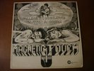 MAGNETIC TOUCH FALLING IN LOVE WITH A DREAM LP RECORD PROMO AL-501