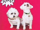 Slaves – Are You Satisfied? – LP Vinyl Record – New & Sealed