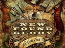 New Found Glory - Not Without A Fight [Vinyl New]