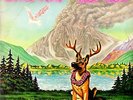 LITTLE FEAT - Hoy-Hoyi 1981 (Vinile=M) 2 LP 12