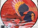 David Bowie The Man Who Sold The World RSD 2016 picture disc vinyl LP