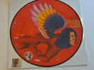 David Bowie The Man Who Sold the World LP Record Store Day Picture Disc RSD 2016