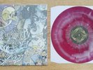 PIG DESTROYER Phantom Limb PURPLE PINK MERGE VINYL /100 converge nasum trap them