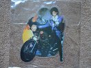Prince U.K. Ltm. Shaped 7