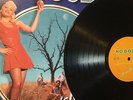 NO DOUBT / TRAGIC KINGDOM / LP VINYL ROCK