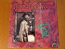 HOUND DOG TAYLOR: BEWARE OF THE DOG   Original 1976 ALLIGATOR Lp