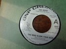 THE SEEDS psych GARAGE 45 NM white promo GNP CRESCENDO  The Wind Blows Your Hair