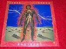 LP Vinyl James Brown