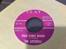 RARE 45 ?? THE ANTENNAS ?? Doo wop - Vocal Group - Harmony - Rock & roll