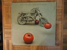 John Taylor,Pause and Think Again,Turtle Label,LP