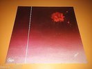 LP VINILE LA PENTOLA DI PAPIN ZERO 7  DISCO PIù ITALIN PROG 1977 OTTIMO RARO