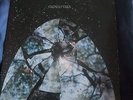 FRIENDLY FIRES - same -  LP
