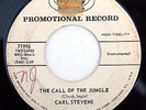 HEAR Carl Stevens 45 Call Of The Jungle/Baby Elephnt exotica popcorn tittyshaker