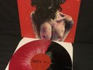 PIG DESTROYER TERRIFYER VINYL LP /100 converge botch zao dropdead daughters bane
