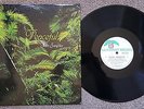 JOHN SANGSTER - PEACEFUL - RARE OZ PRIVATE RAIN-FOREST RECORDS JAZZ LP - 1980
