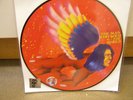 DAVID BOWIE The Man Who Sold The World Picture Disc LP (Sealed/2016 RSD/New)