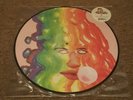 Black Moth Super Rainbow, Dandelion Gum. Vinyl Picture Disc