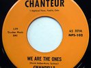 CHANDELLS 45 We Are The Ones / Little Girl Pretty Girl NEAR MINT Garage e5997