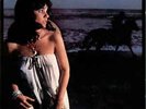 Linda Ronstadt ?– Hasten Down The Vinyl NM Cover EX Gate-fold + Inner Sleeve EX+