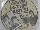 Adam Ant/ the  Ants  12