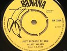 DELROY WILSON JUST BECAUSE b/w I LOVE YOU MADLY UK BANANA 7