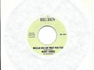 Mary Saenz:Would she do that for you/I think it's you:Northern Soul Re-Issue