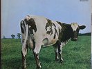 Pink Floyd 