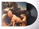 Interpol - Our Love To Admire 12