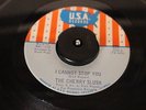 The Cherry Slush 1968 I Cannot Stop You 45w/PS USA Garage KILLER NEAR MINT