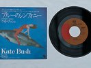 KATE BUSH - Symphony in Blue 7