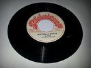 TECHNIQUES/BIG BELLY HORSE - THE ETHIOPIANS  [REGGAE] 7