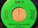 BLUE VELVET detroit modern soul ballad 45 Spring For You And Me   Que Ti