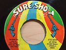 THE MALIBUS GEE BABY (I Love You) SURE SHOT RECORDS 5028 70s RE ISSUE