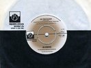Blondie In The Flesh Vinyl Single 7inch NEAR MINT Private Stock