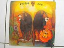 Jah Lion  ?– Praise Jah    / LP / VG