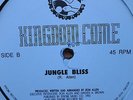 ? MINT 1992 kingdom come jungle bliss ron allen hayden brown RARE LISTEN MP3   *