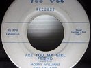 MORRY WILLIAMS & the KIDS are you my girl friend Louise ORIG.Doowop 45 e6179