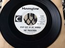 Rare Garage 45 PREACHERS on Moonglow 5006 WLP DJ Promo MINT