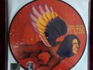 DAVID BOWIE, Man Who Sold The World, RSD 2016, Picture Disc 12