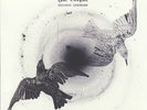 The Coral - Distance Inbetween