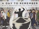 What Seperates Me From You (Ltd.Picture Disc) - A DAY TO REMEMBER [LP]