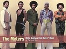 Here Comes The Meter Man - Meters (2014, Vinyl NEW)
