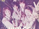 PAUL McCARTNEY & WINGS Goodnight Tonight SPAIN picture sleeve. Beatles