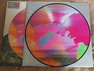 THE NAKED AND FAMOUS - PASSIVE ME AGGRESSIVE YOU (RARE 2010 PICTURE DISC VINYL )