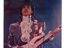 PRINCE 7