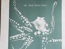 Deep Freeze Mice Saw A Ranch House Burning lp MOLE UK DIY KBD NWW Psych Punk Art
