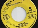 WE THE PEOPLE-Love Is A Beautiful Thing-1967 Central Florida Garage-Punk DJ Issu